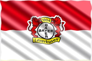 Bayer 04 Leverkusen vs. SV Darmstadt 98