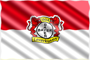 Bayer 04 Leverkusen vs. SV Darmstadt 98