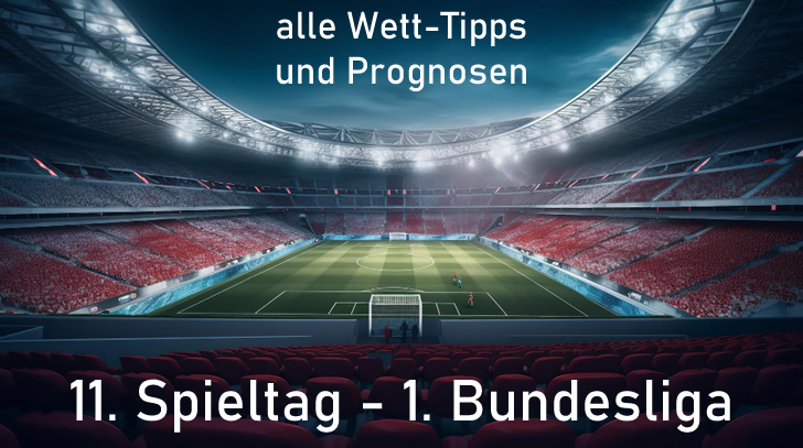 11-spieltag-1-bundesliga-2324