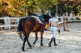 Die Reitsportabteilung